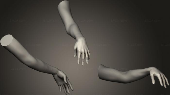 Анатомия скелеты и черепа (Поза женской руки 22, ANTM_0432) 3D модель для ЧПУ станка